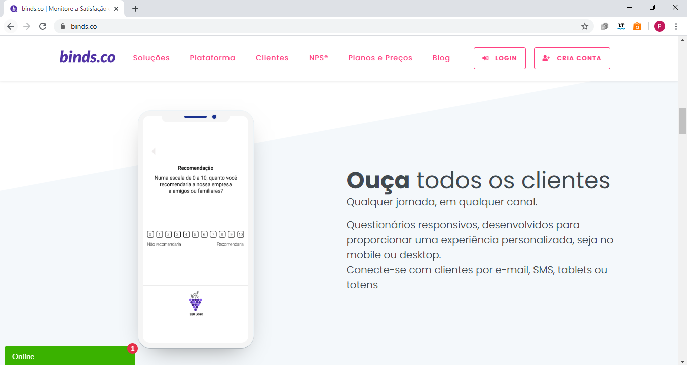 Print da tela do site da binds.co